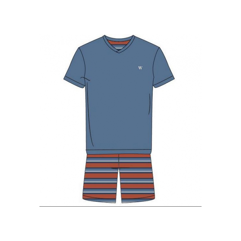 Heren Pyjama in het Blauw